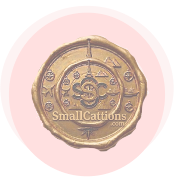 shape